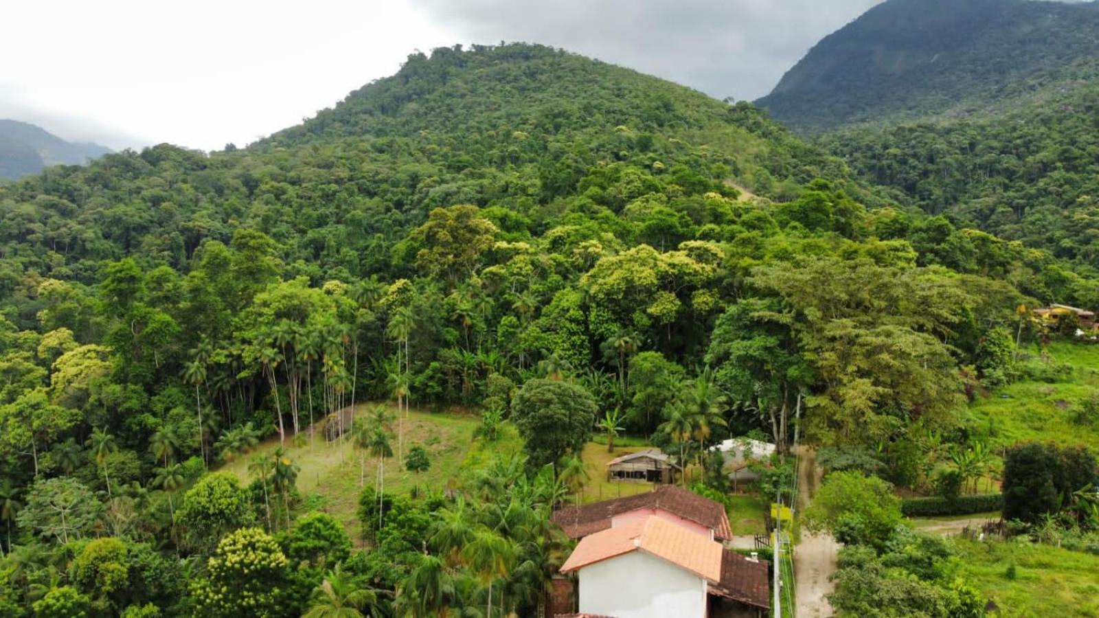 Casa Da Floresta Pico Da Aguia Paraty Bagian luar foto