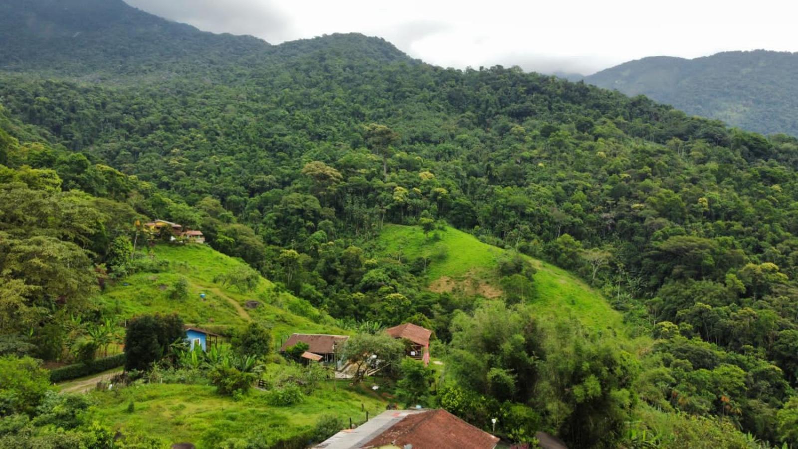 Casa Da Floresta Pico Da Aguia Paraty Bagian luar foto